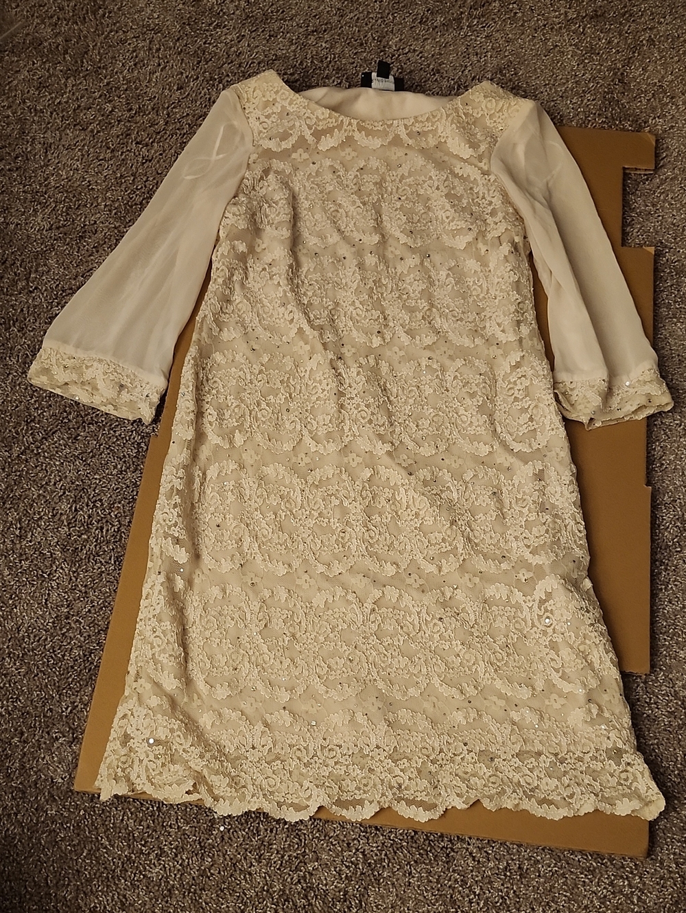 R & M Richards Cream Lace Shift Dress with Sheer Sleeves